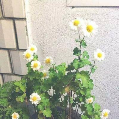 二战传奇360最新版下载